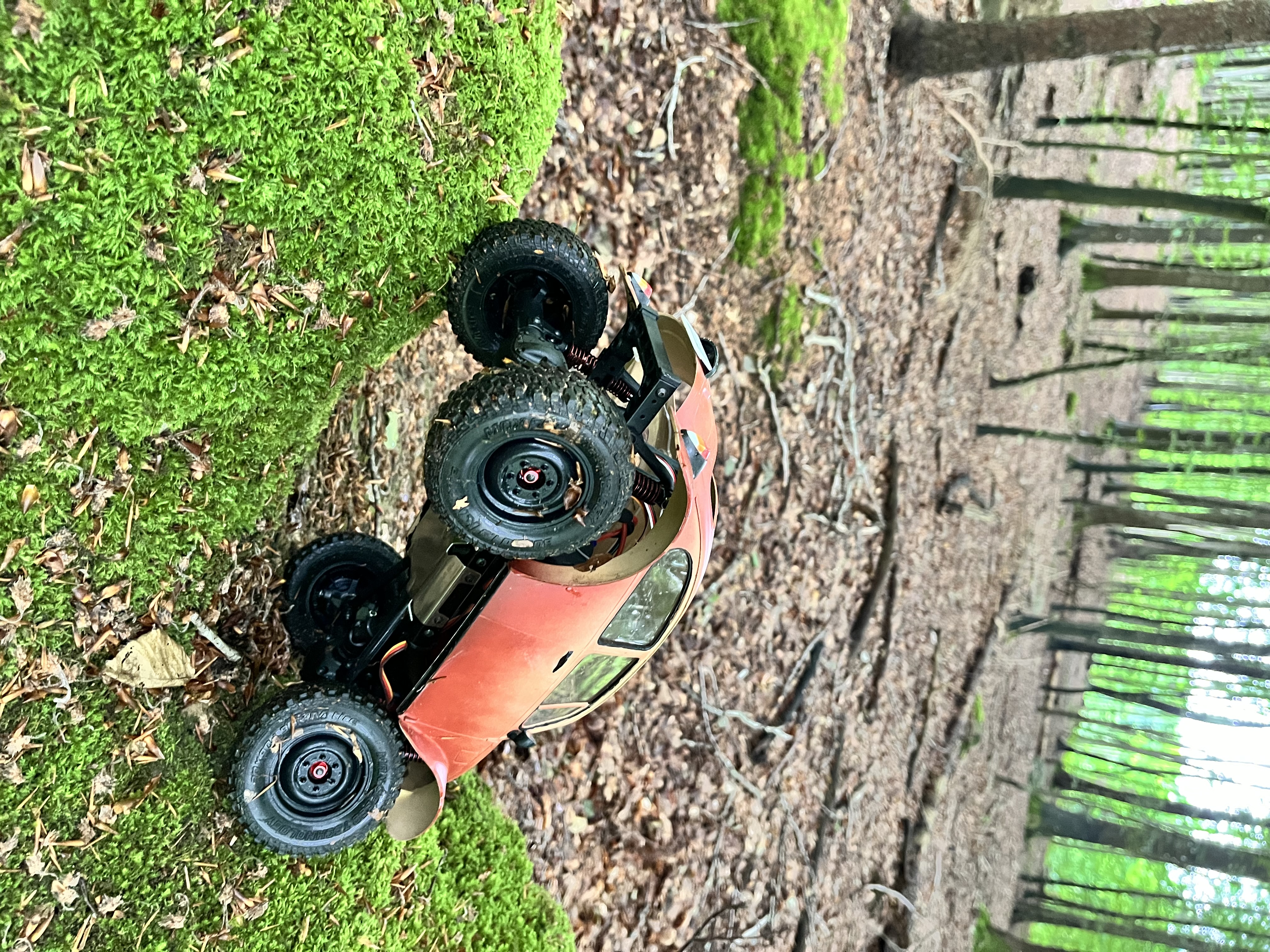 IMG_2588.jpeg