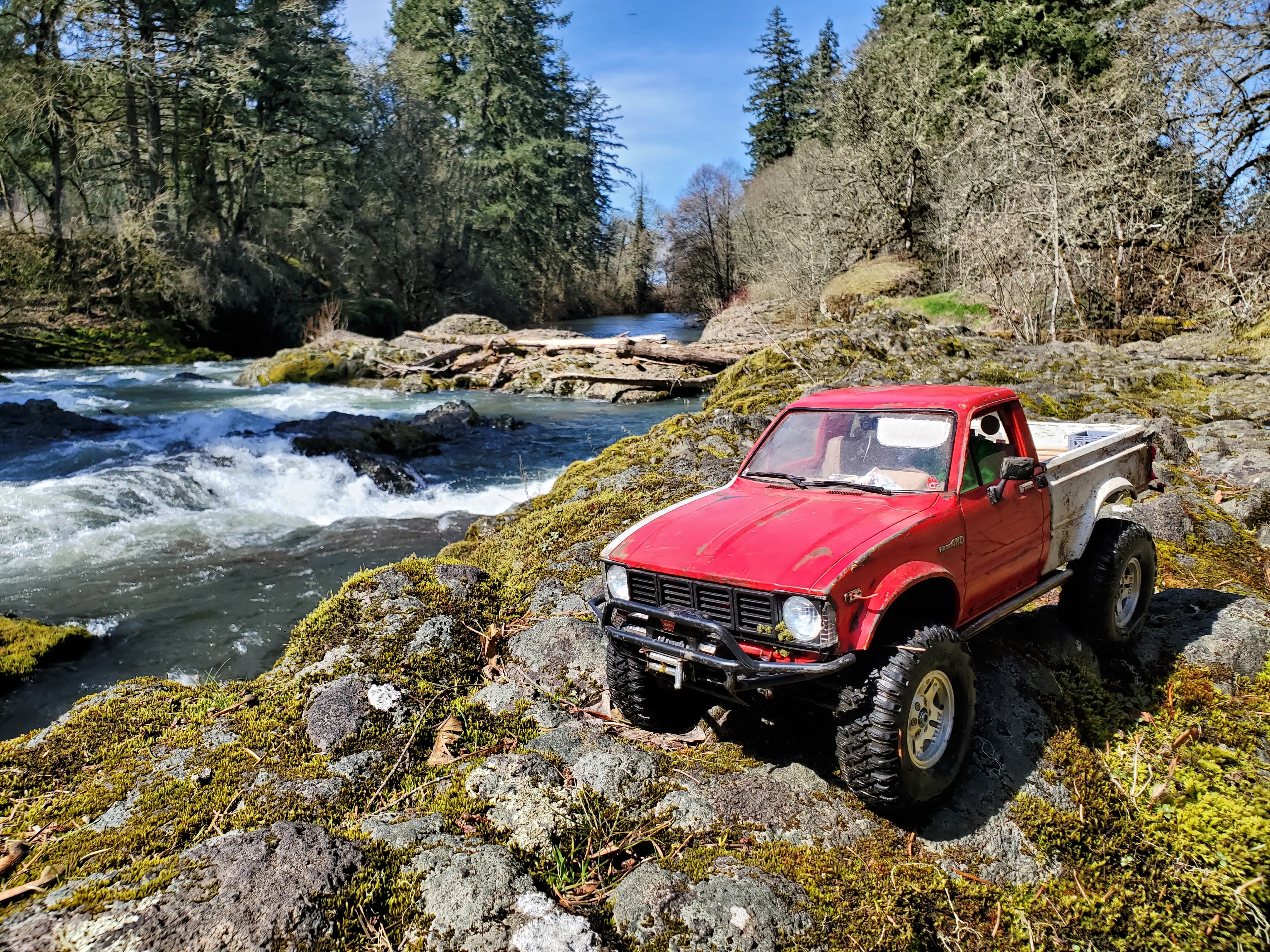 20230321_124919.jpg