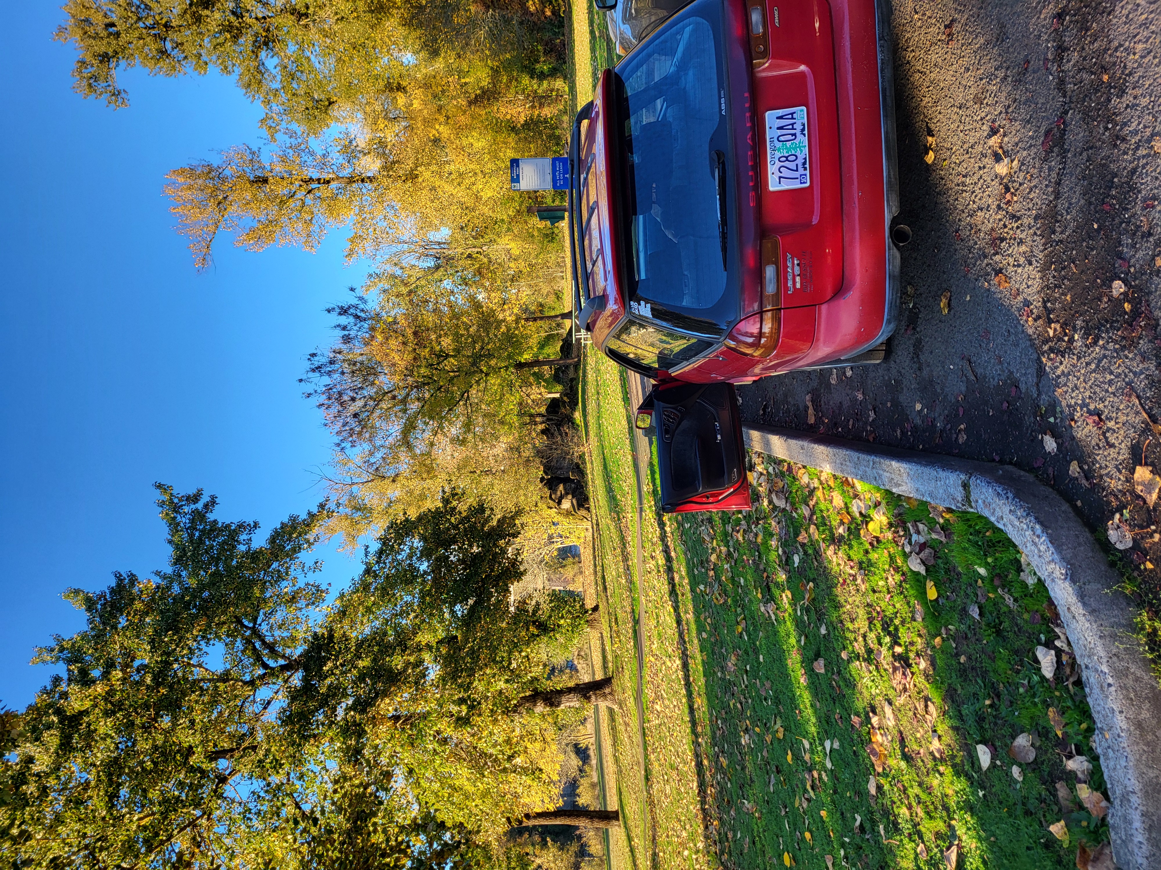 1000020835.jpg