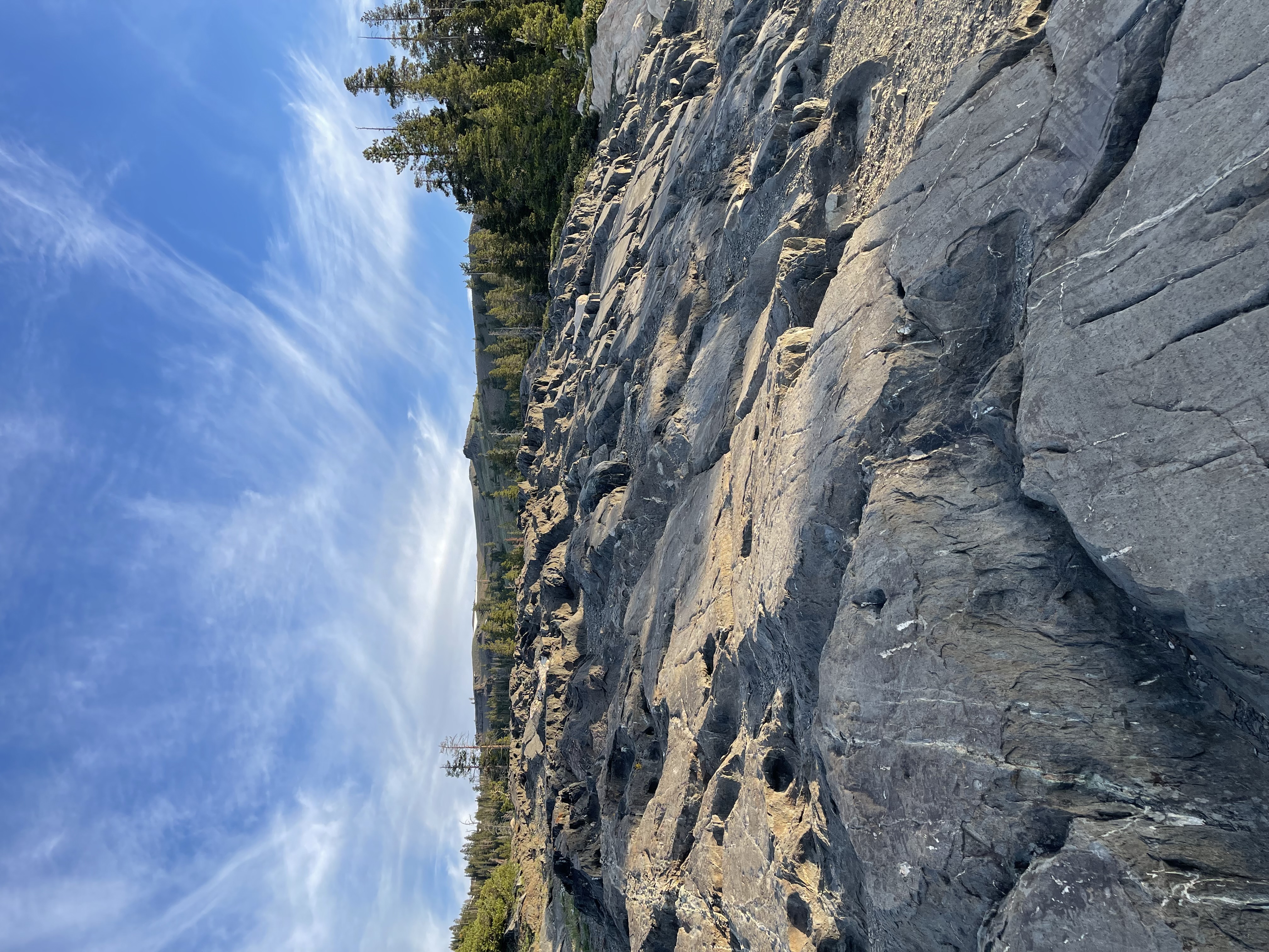 IMG_7019.jpeg